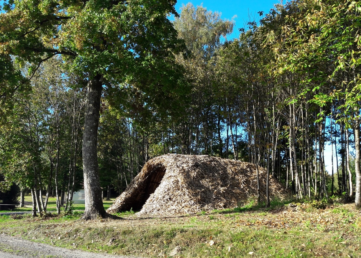 Cabane de feuillardier à Masselièvre_1
