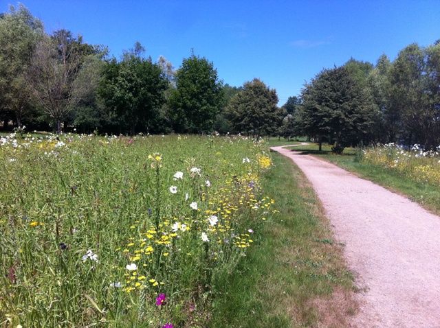 Jardin en Mouvement - Promenade Gilles Clément_1