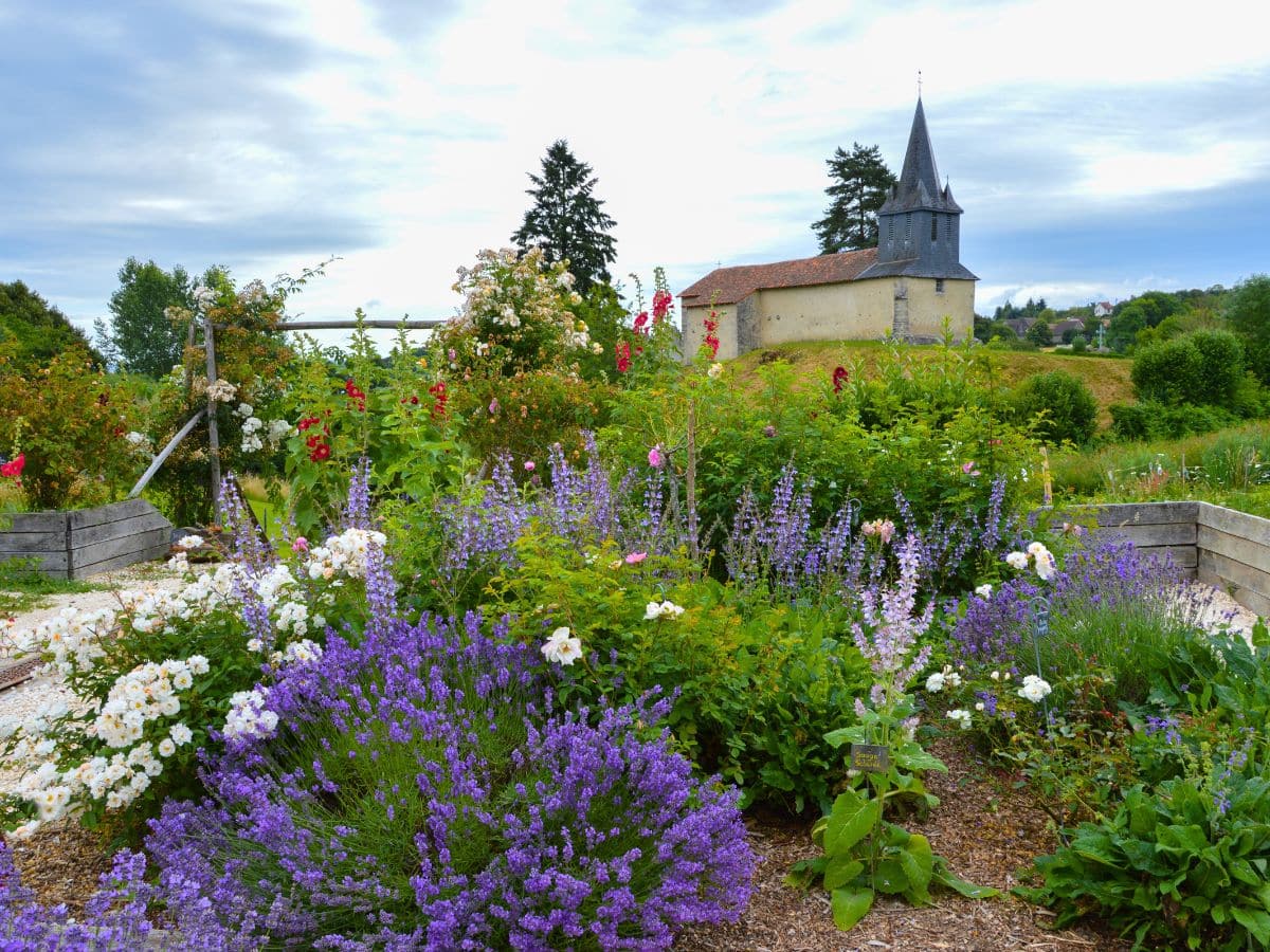 Jardin de l'An Mil à nos jours