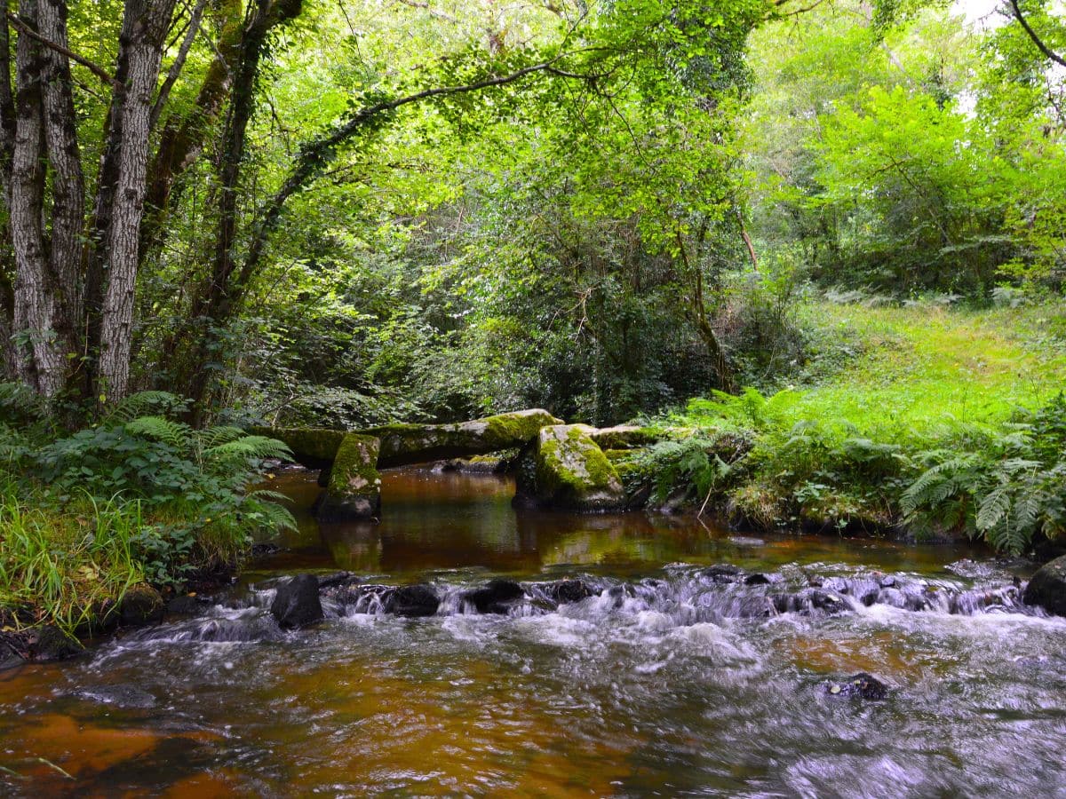 Pont des Graules - Flavignac
