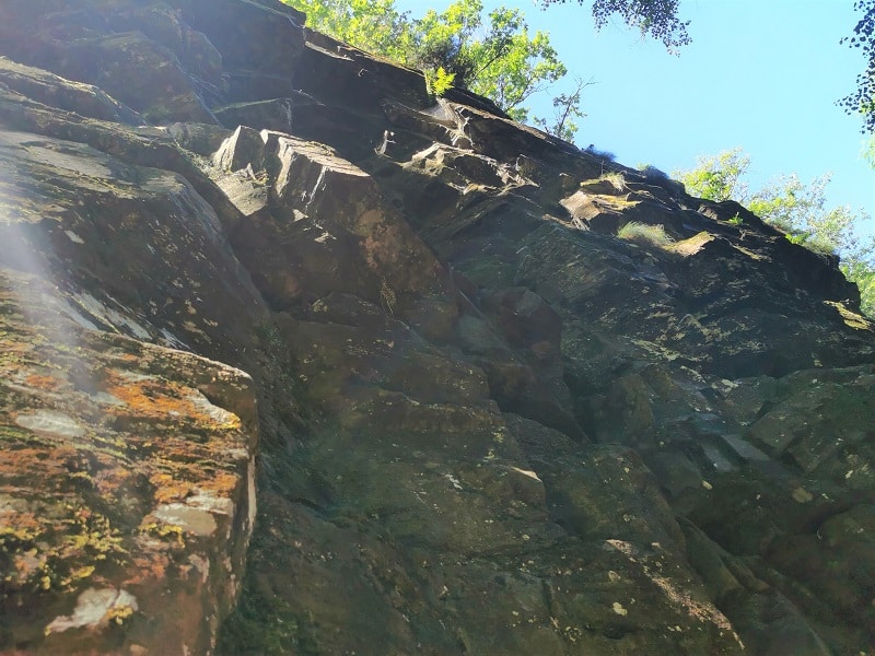 Falaise Bord de l'Isle Jumilhac Juillet (16)